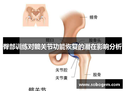 臀部训练对髋关节功能恢复的潜在影响分析